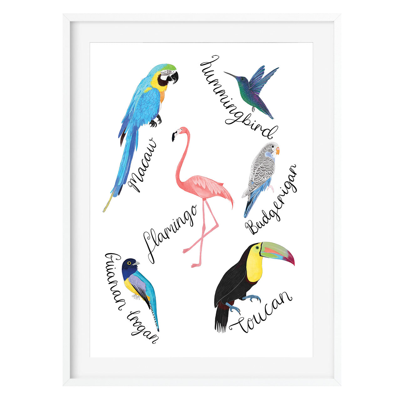 Tropical Birds Art Print - Poppins & Co.
