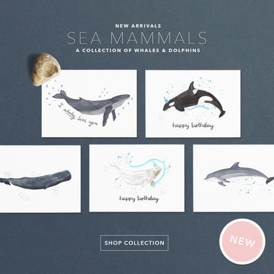 Sea Mammals Cards