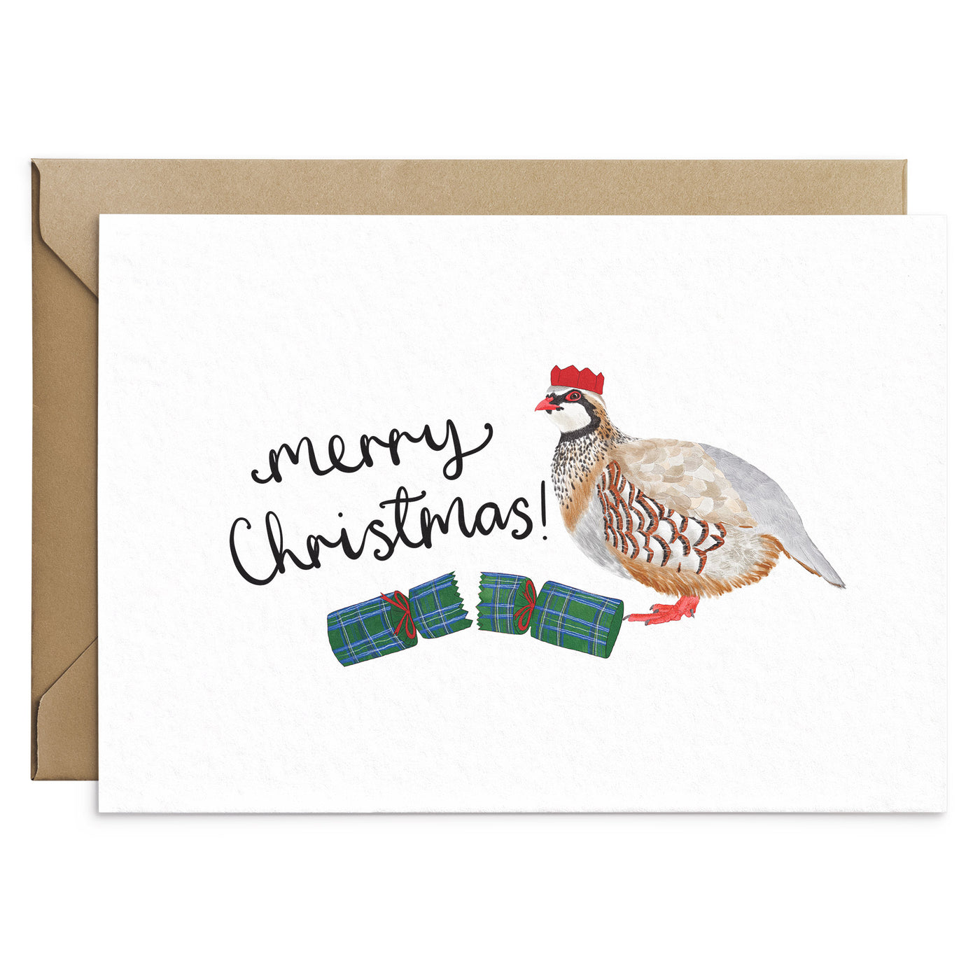 Funny Bird Christmas Card - Poppins & Co.