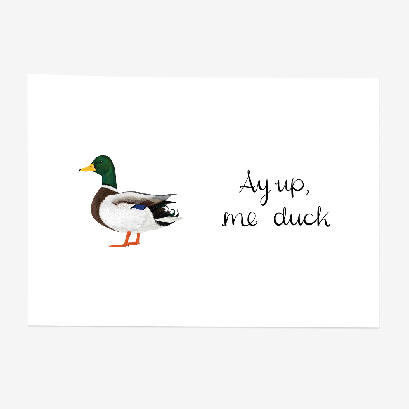 Ay Up Me Duck Art Print (Unframed) - Poppins & Co.