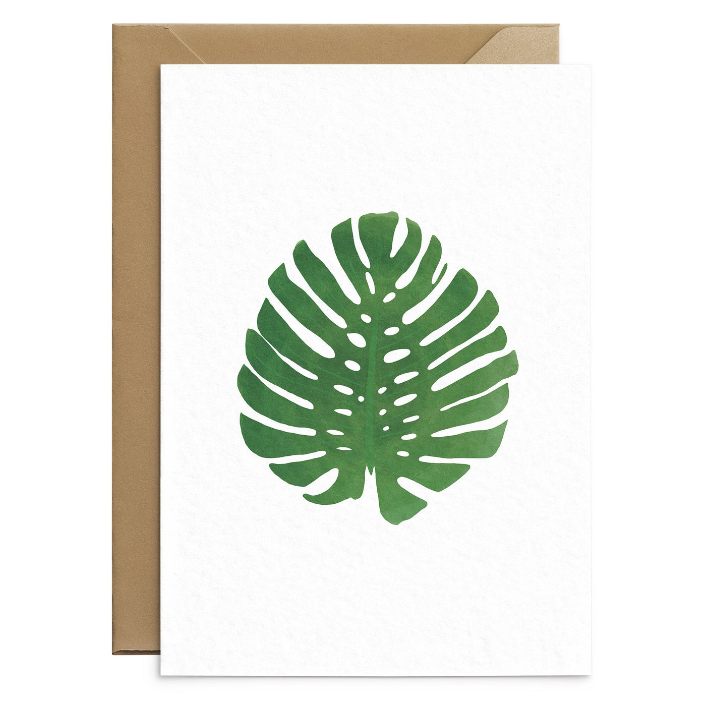 Botanical Cheese Plant Card - Poppins & Co.