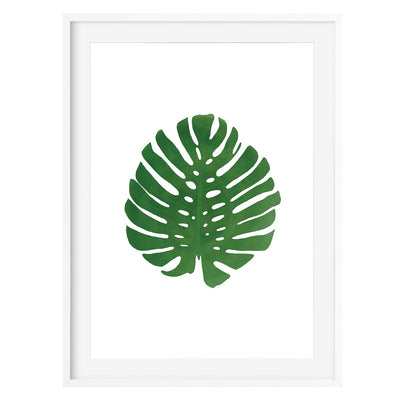 Botanical Cheese Plant Print - Poppins & Co.