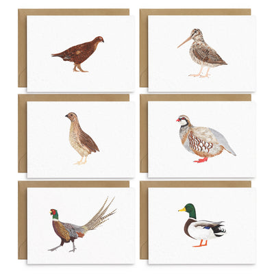 English Garden Birds Cards - Set of 6