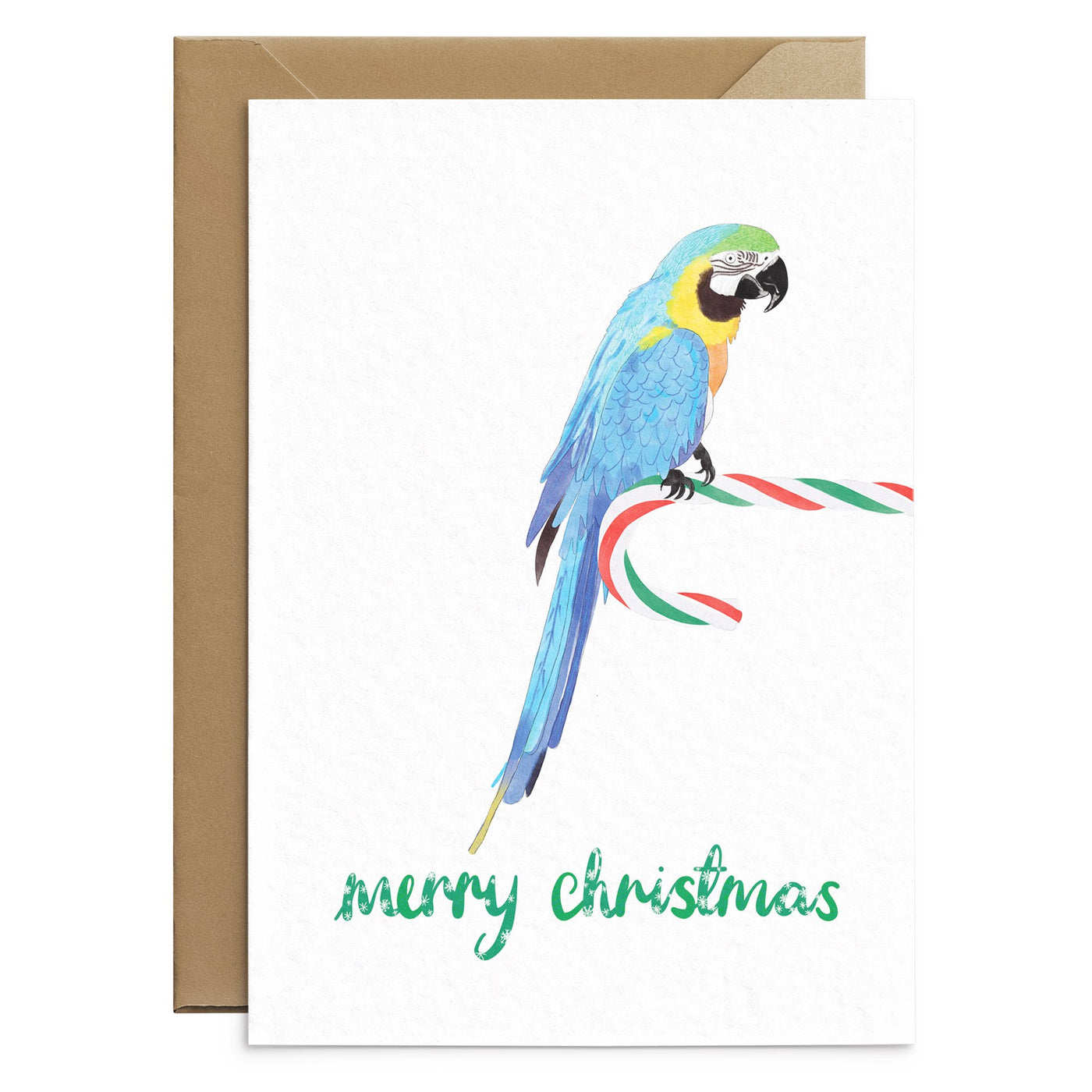 Cute Parrot Christmas Card - Poppins & Co.