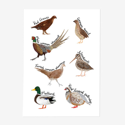 Game Bird Art Print (Unframed) - Poppins & Co.