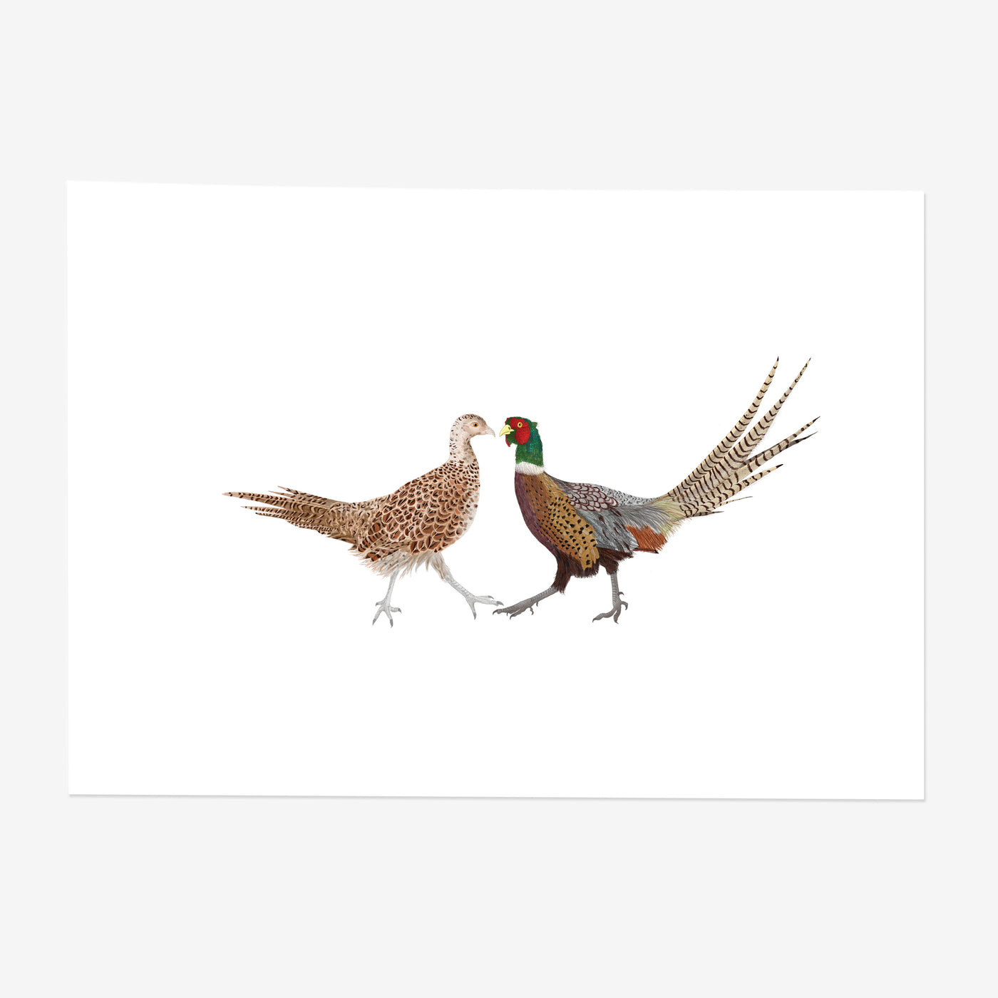 Love Birds Art Print - Poppins & Co.