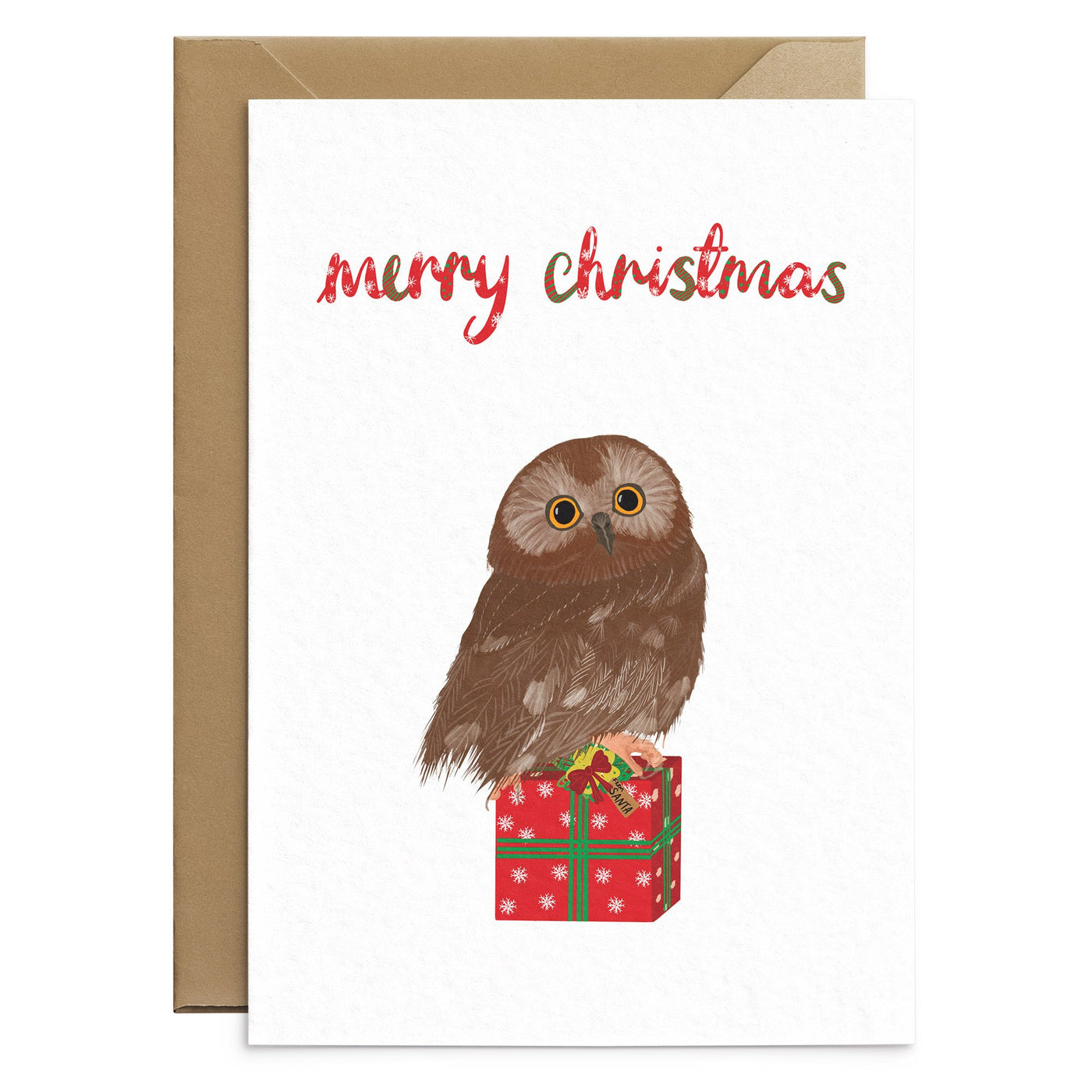 Cute Owl Christmas Card - Poppins & Co.