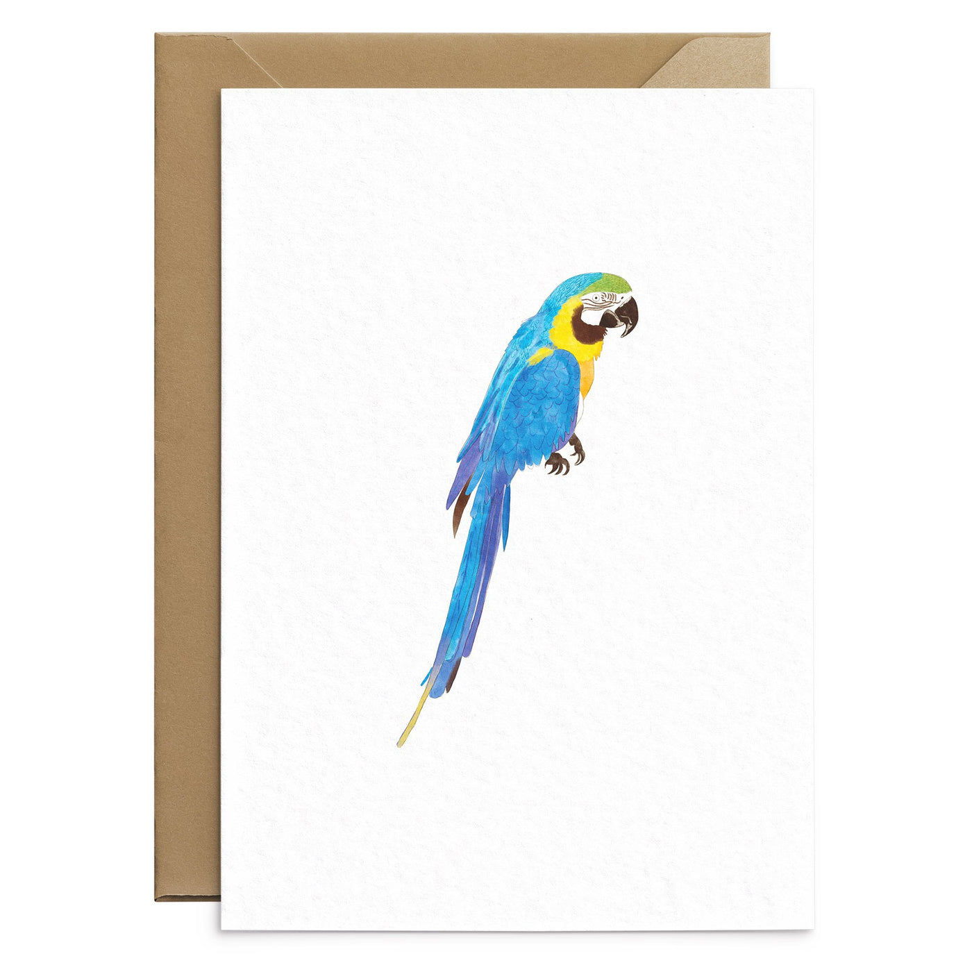 Parrot Card Blank - Poppins & Co.