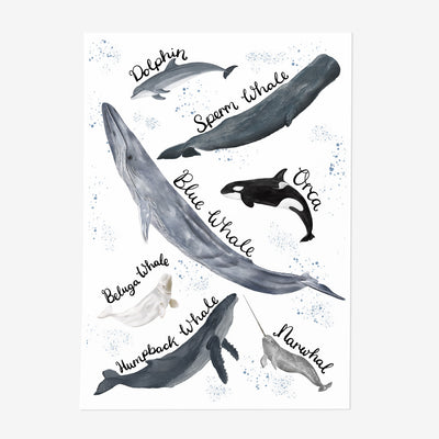 Whales & Dolphin Print - Poppins & Co.