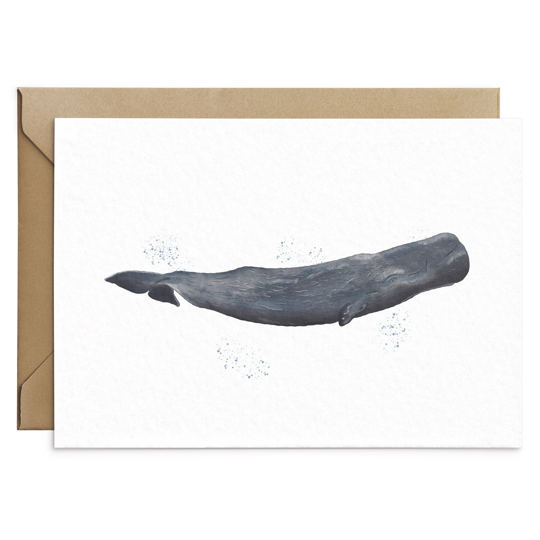 Whales And Dolphins Playing Cards – Kartenspiel Mit 54 Einzigartigen Meeresmotiven