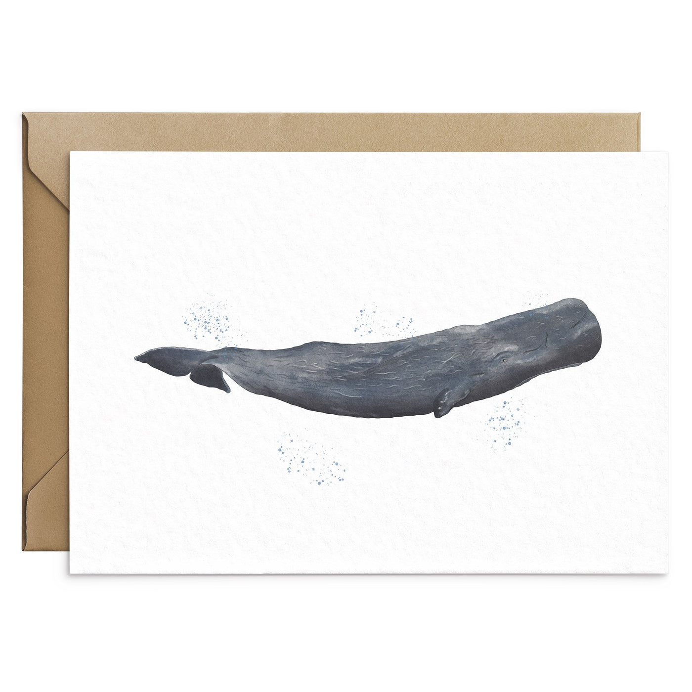 Sperm Whale Greeting Card - Poppins & Co.