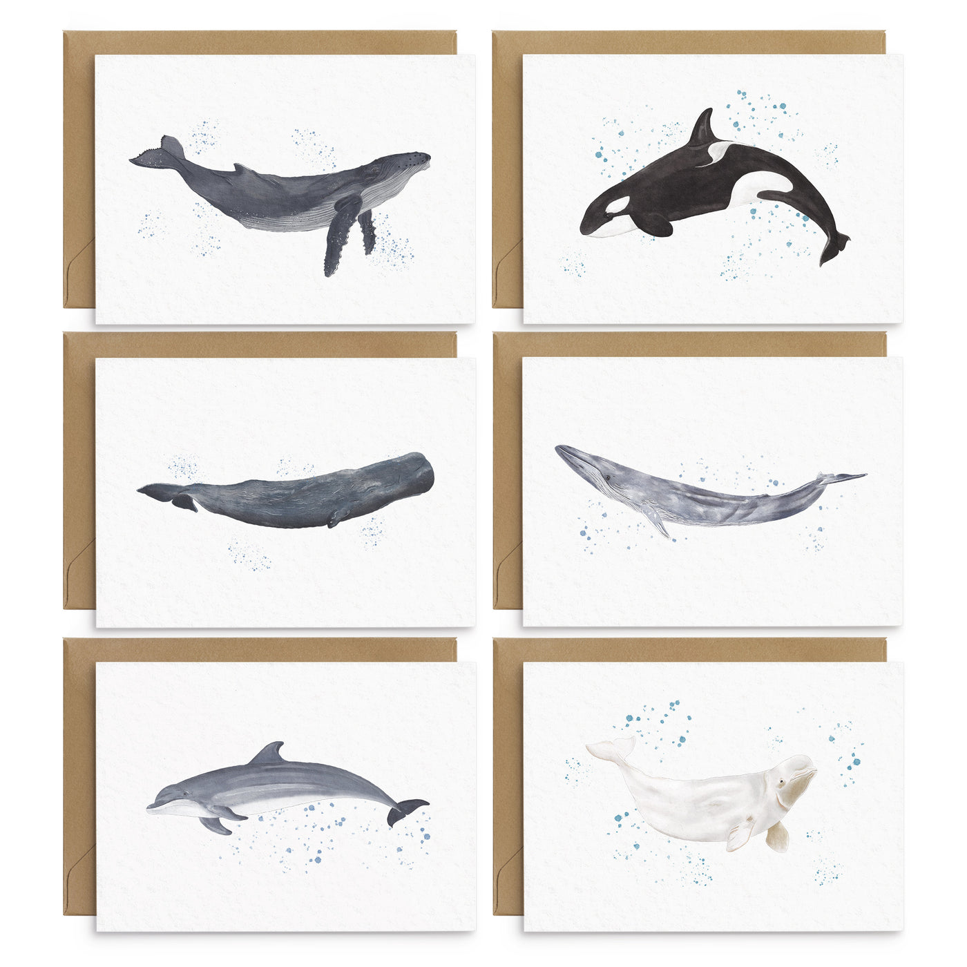 Whales & Dolphins Notecards Everyday Cards Set - Poppins & Co.
